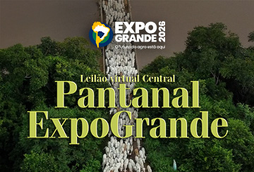 LEILÃO VIRTUAL CENTRAL PANTANAL EXPOGRANDE